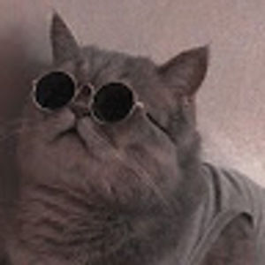 Meet your Posher, Twig